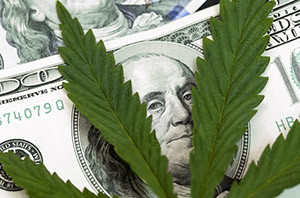 Marijuana business for sale